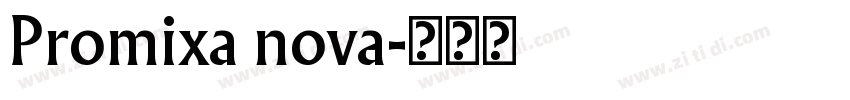 Promixa nova字体转换